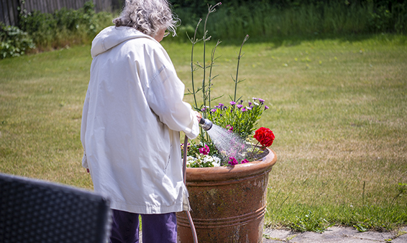 Kvinde vander blomster på Nordhøj. Foto: Kenneth Jensen, Frederikssund Kommune.